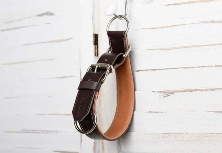 leather slip and choke dog collar