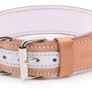 Luxury Leather Dog Collars, Luxury Collars