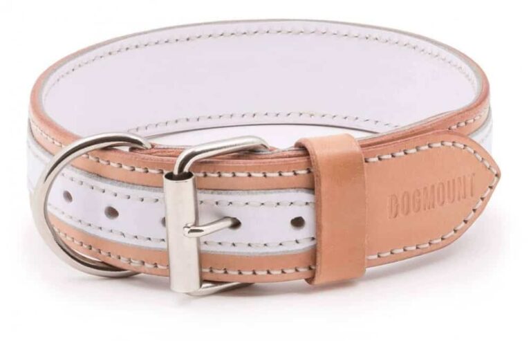 luxury leather dog collar