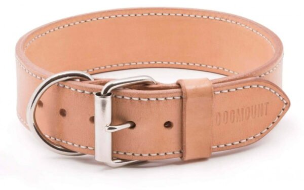 natural leather dog collar