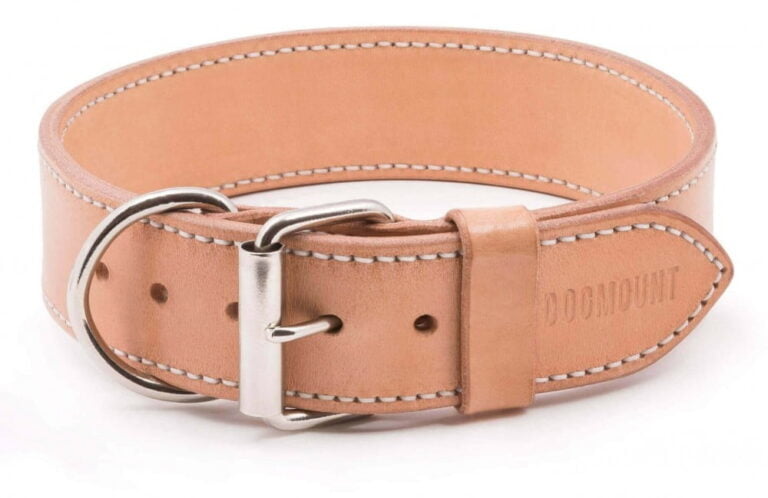 natural leather dog collar