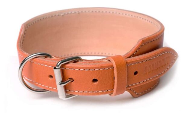 Orange leather Dog Collar