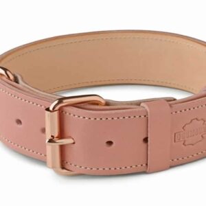 pink leather dog collar