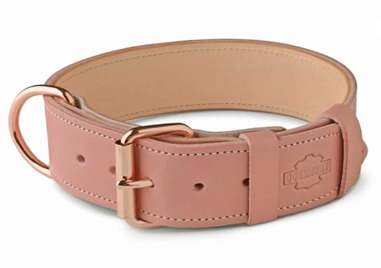 pink leather dog collar