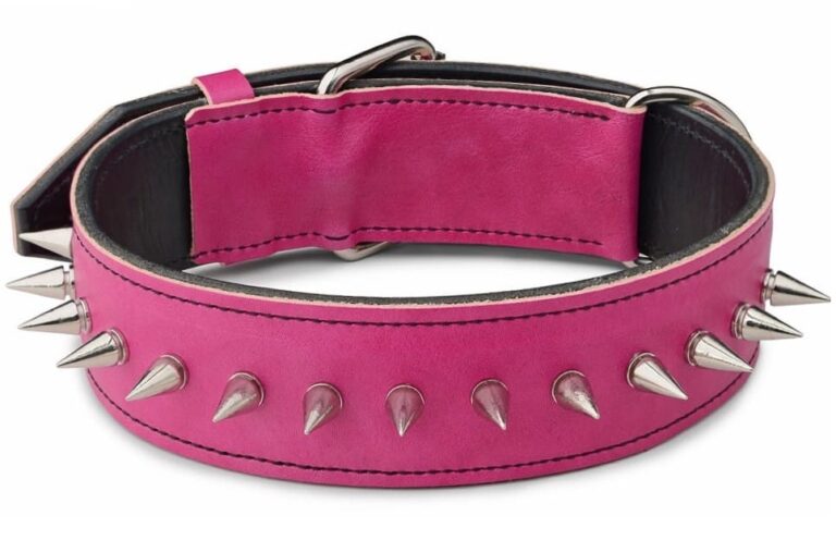 Pink Spiked Dog Collar