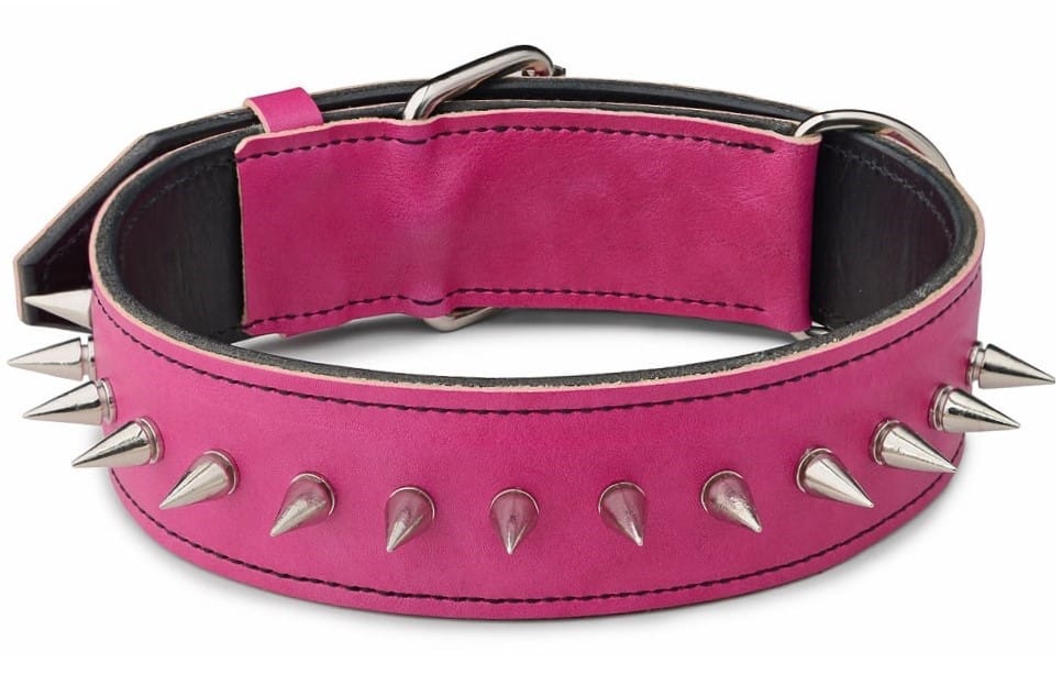 Plastic Coated Nylon Bright Pink Dog Collar – Made In USA, Personalized Available, Same Day Shipping By Mays