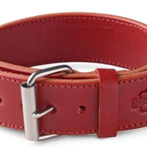 red leather dog collar