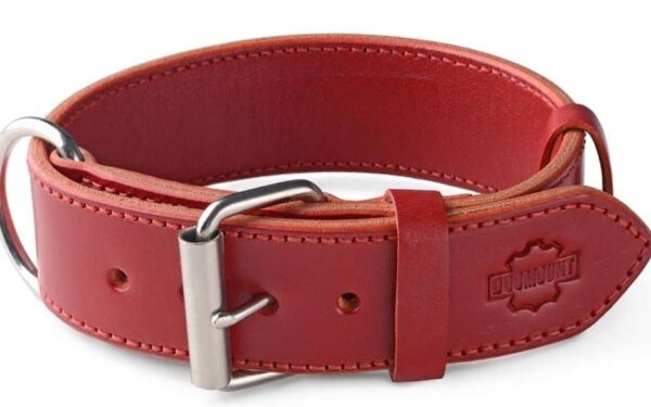 red leather dog collar