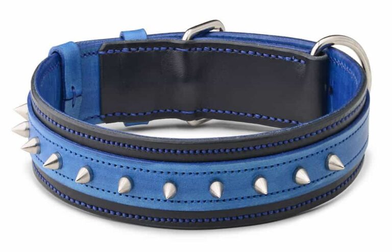 Spiked Dog Collar For Protection