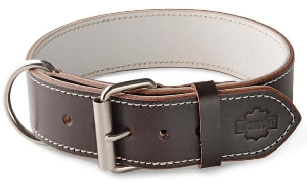 Brown & White Leather Dog Collar