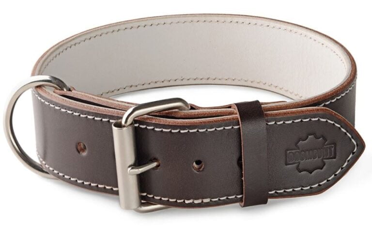 Brown & White Leather Dog Collar