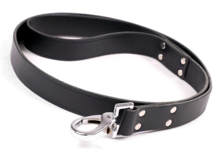 Black Dog Leash