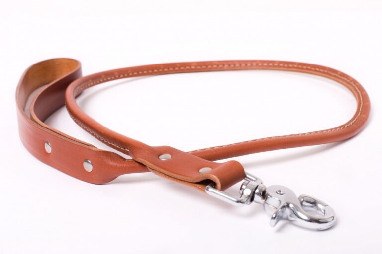 Rounded Leather Dog Leash