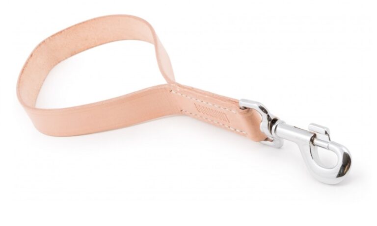 Short Dog Leash
