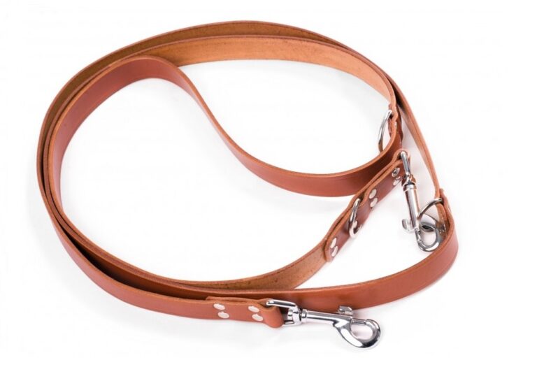 Adjustable Leather Dog Lead