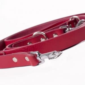 Burgundy Adjustable Dog Leash