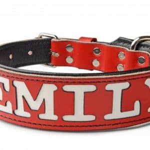 Swiss Dog Collar & 3″ Wide Collar