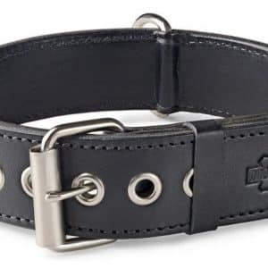 Black Dog Collar