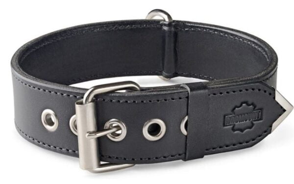 Black Dog Collar