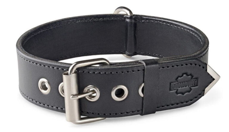 Black Dog Collar