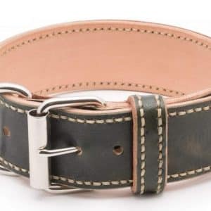 Luxury Dog Collar Extra Caciato