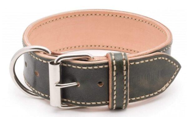 Luxury Dog Collar Extra Caciato