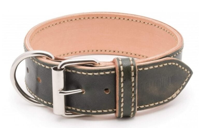 Luxury Dog Collar Extra Caciato