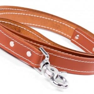 Brown Leather Dog Lead With Stitching