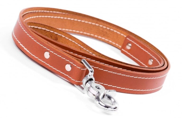 Brown Leather Dog Lead With Stitching