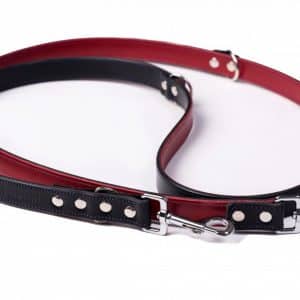 Black & Red Adjustable Dog Leash