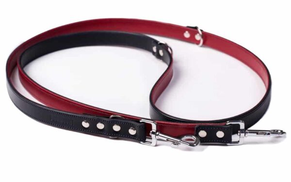 Black & Red Adjustable Dog Leash