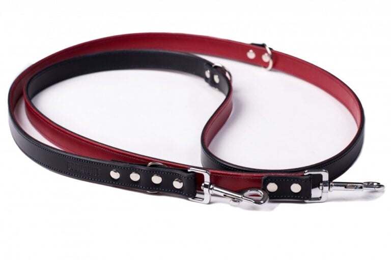 Black & Red Adjustable Dog Leash
