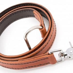 Belt Leash With Waist Attachment