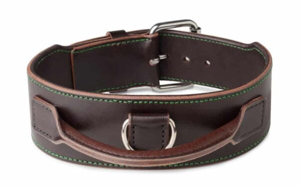 leather dog collar with handle