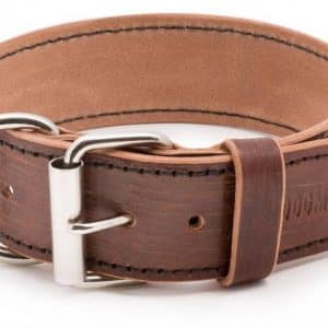 Leather collar for dogs Vecio