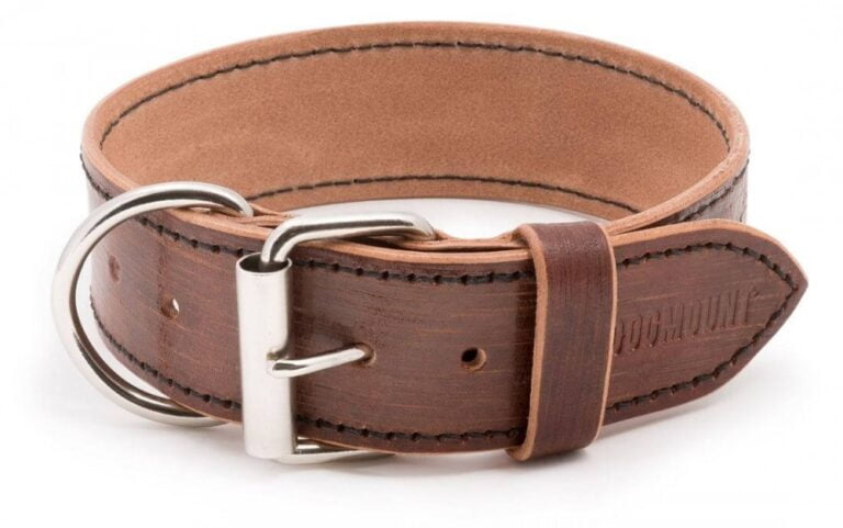 Leather collar for dogs Vecio