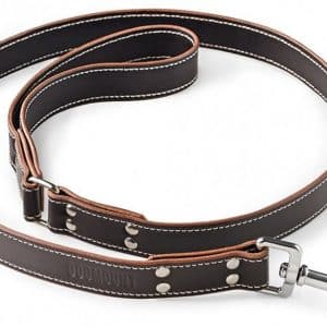 Brown Leather Dog Leash