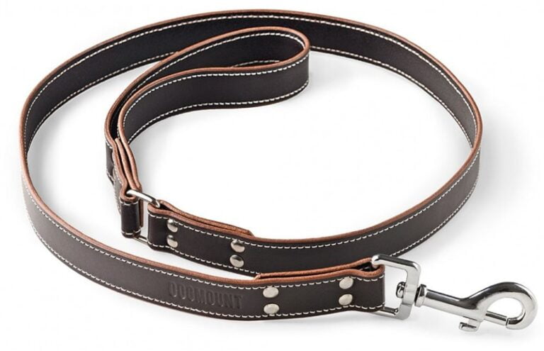 Brown Leather Dog Leash