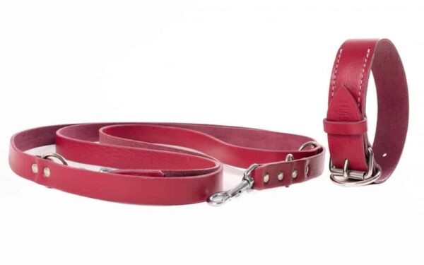 Leather collar and leash set burgundy