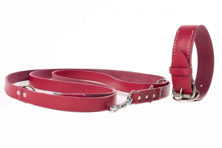 Leather collar and leash set burgundy