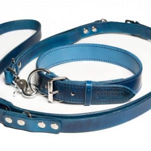 Dog collar and leash in oceanic blue