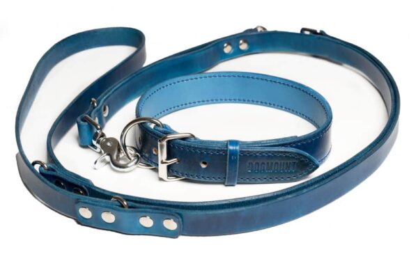 Dog collar and leash in oceanic blue