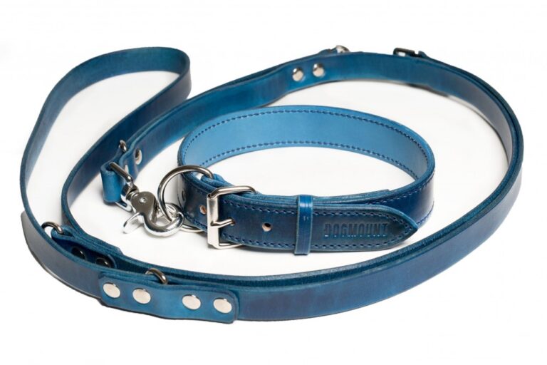 Dog collar and leash in oceanic blue