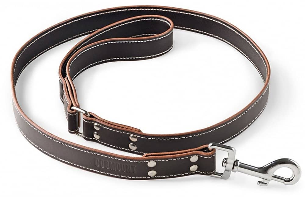 Luxury Dog Harness and Leash Set for S, M, L, XL Dogs  Waterproof PU  Leather Dog Collar (Brown, White) Puppies, Dogs (Small, Brown): Buy Online  at Best Price in UAE 