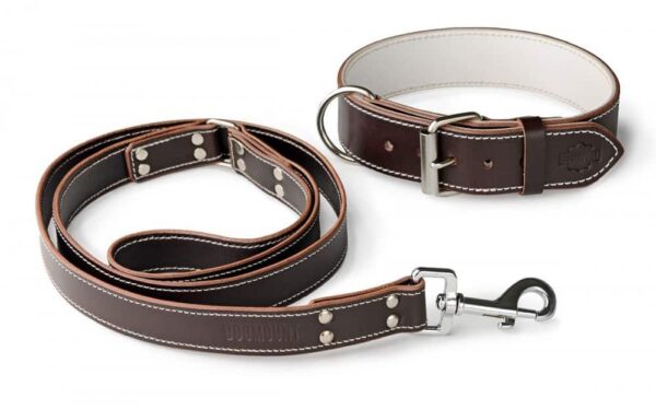 Dog collar and leash set brown & white