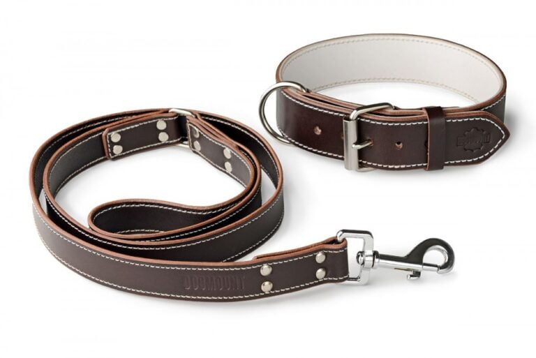 Dog collar and leash set brown & white