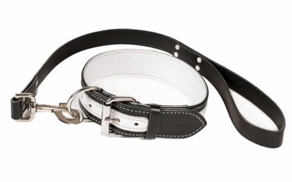 Dog collar and lead black and white