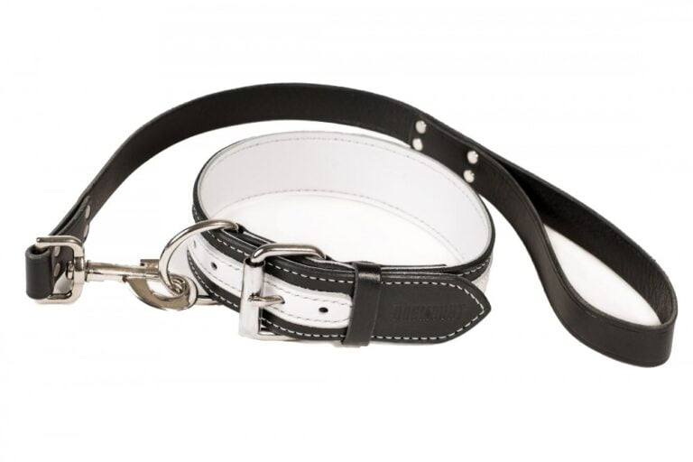 Dog collar and lead black and white
