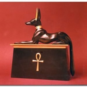 history of dog collars